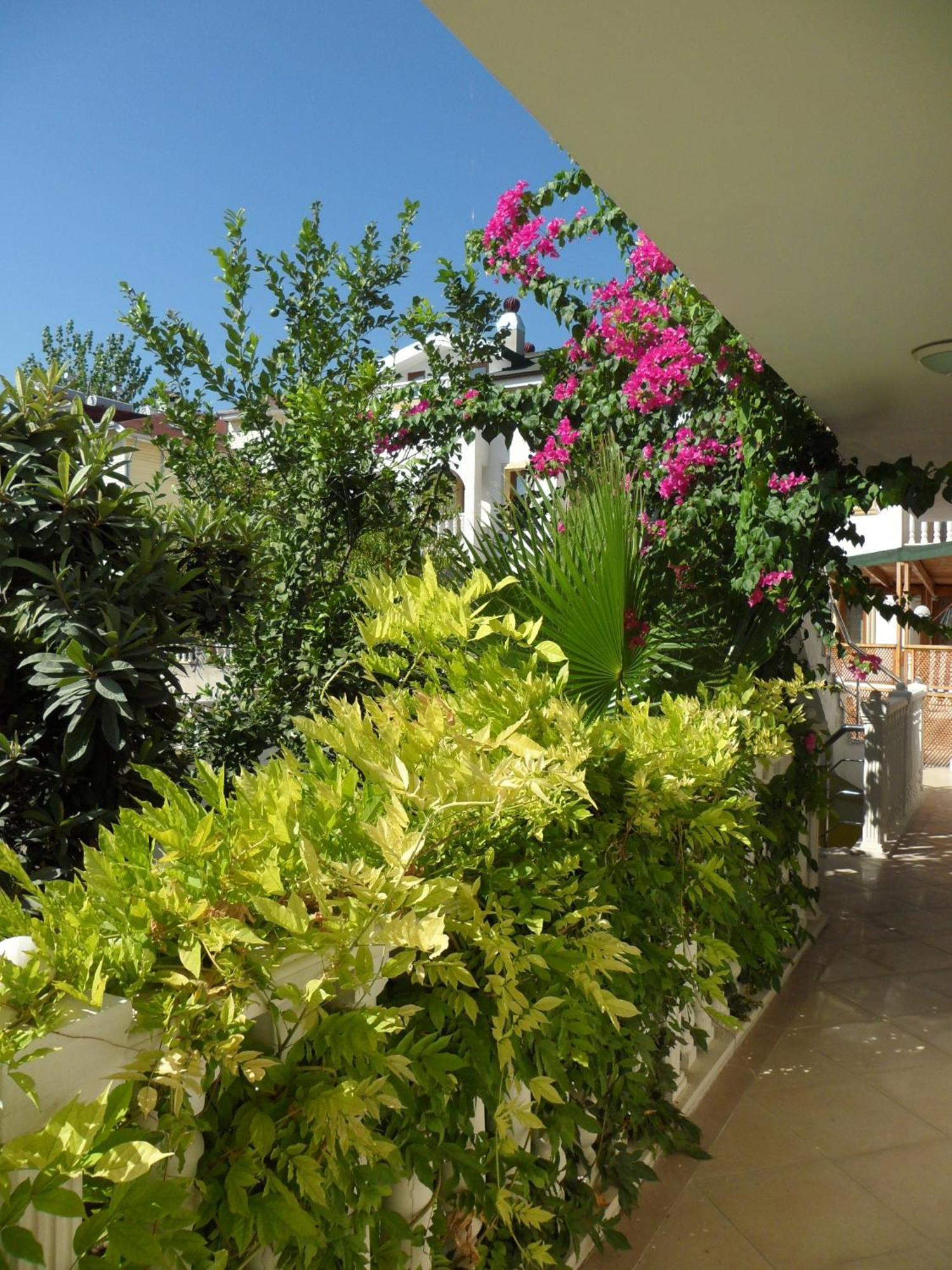 Dinara Hotel Kemer Exterior foto